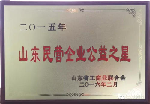 山東民營企業公益之星